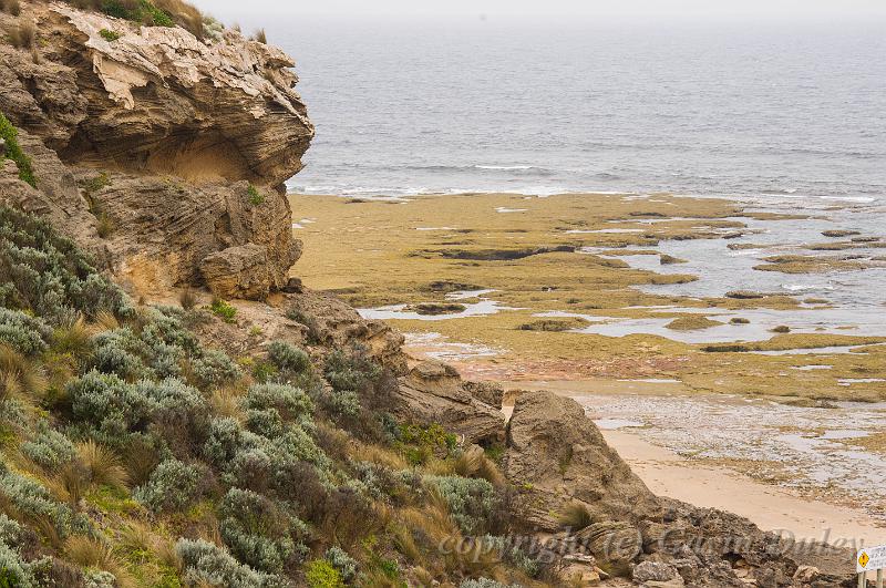 Barwon Heads IMGP4490.jpg